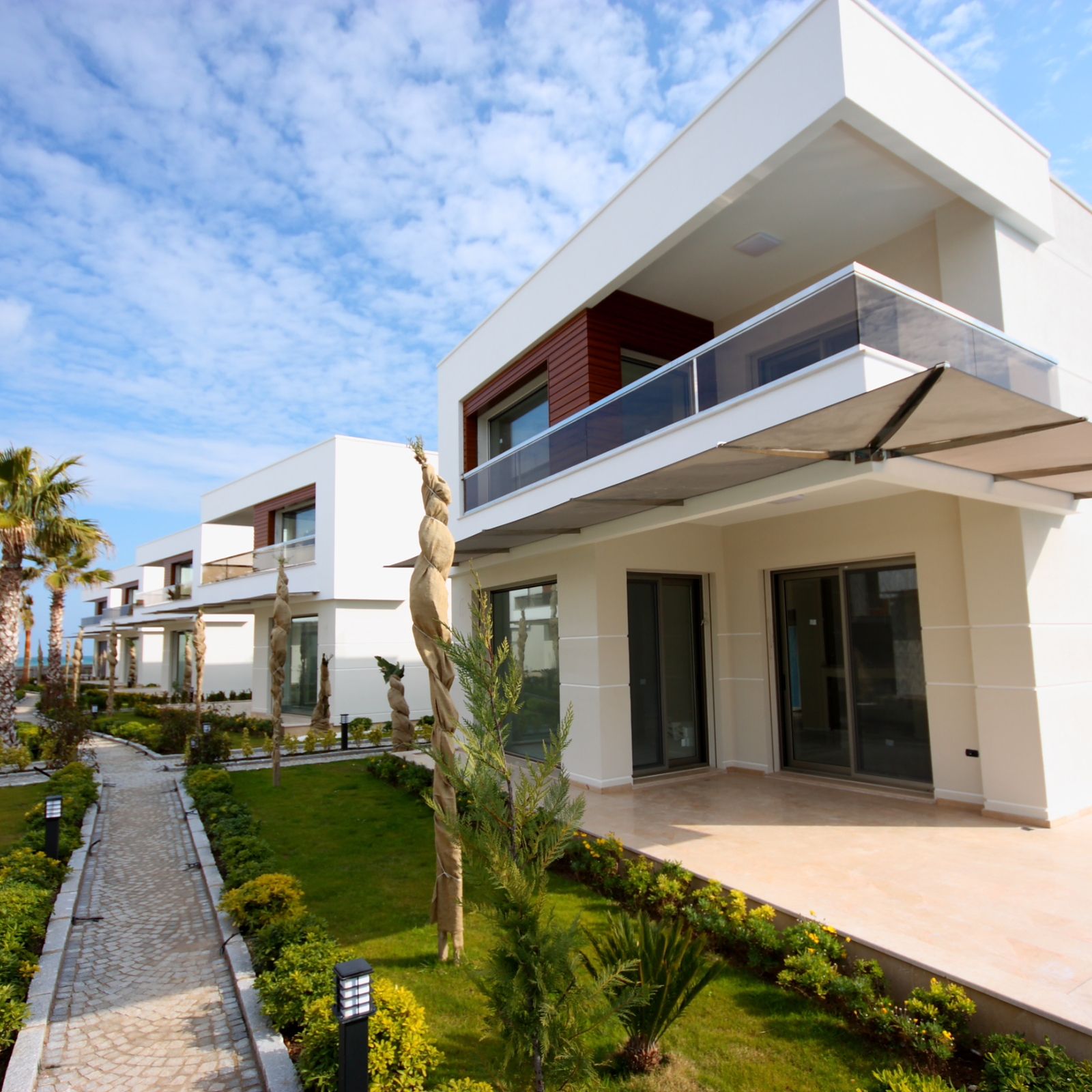 Portfolio Image