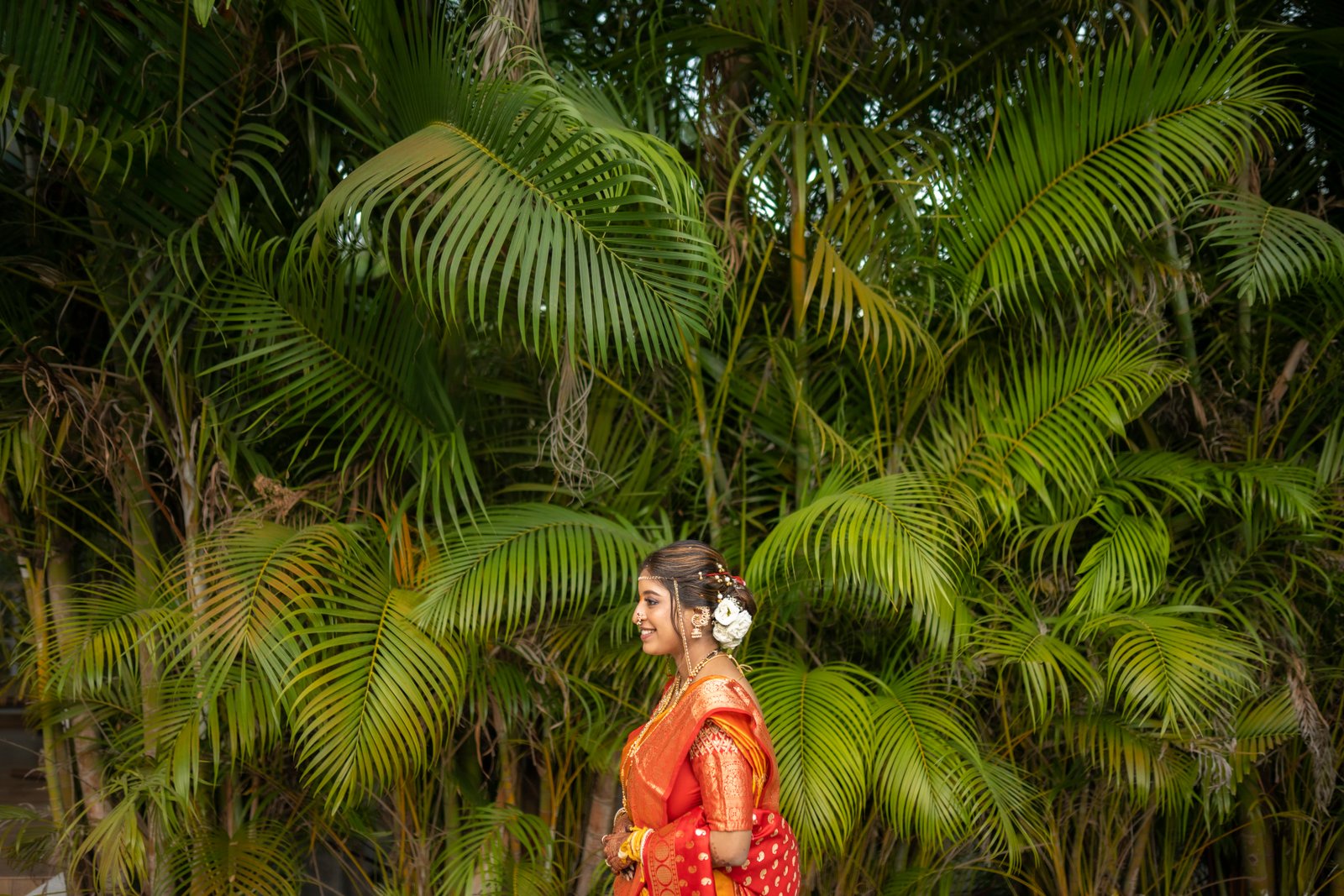 Portfolio Image